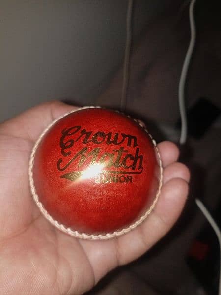 cricket ball Made in India 3