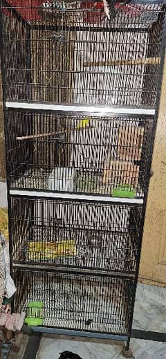 New cage hy