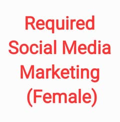 Online Marketing Executive Female