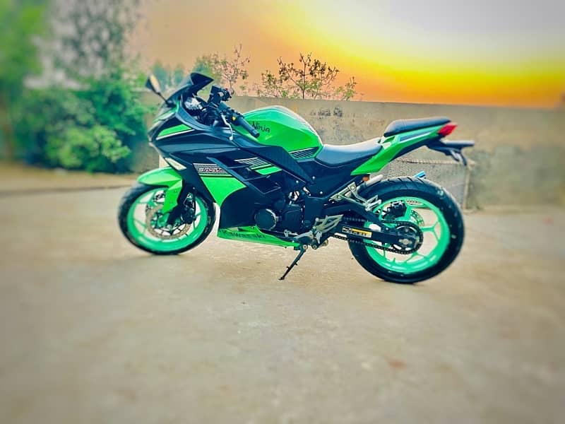 Kawasaki Ninja replica 5