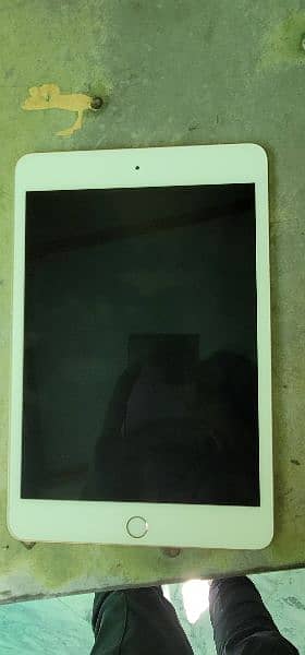 apple iPad mini 5 64 gb with full box 1