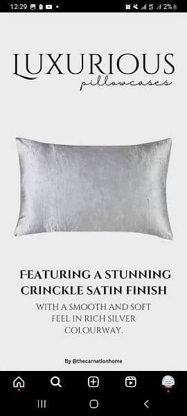 Silk luxury Pillow Cover 2 pieces 0
