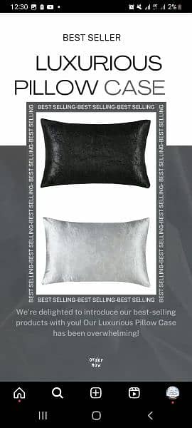 Silk luxury Pillow Cover 2 pieces 1