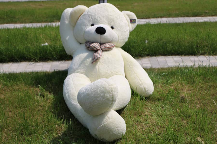 Teddy Bear Gifts/ Stuffed Toys available 0