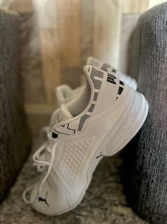 Puma branded shoes