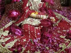 Indian Bridal lehnga Dress for sale 10 on 10 condition 0