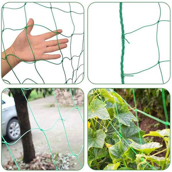 Nylon Net for Climbing Plants 8 x200ft بیلوں کے پودوں کے لیے جال 3