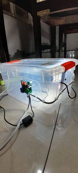 mini incubator 2
