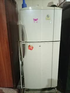 new look refrigerator