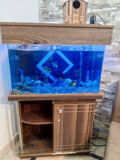 Fish aquarium with out fish available for sale in Lahore 0