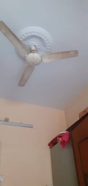 Ceiling Fan 6