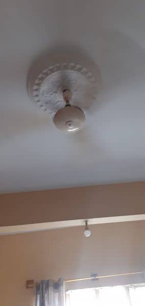 Ceiling Fan 7