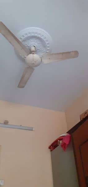 Ceiling Fan 8