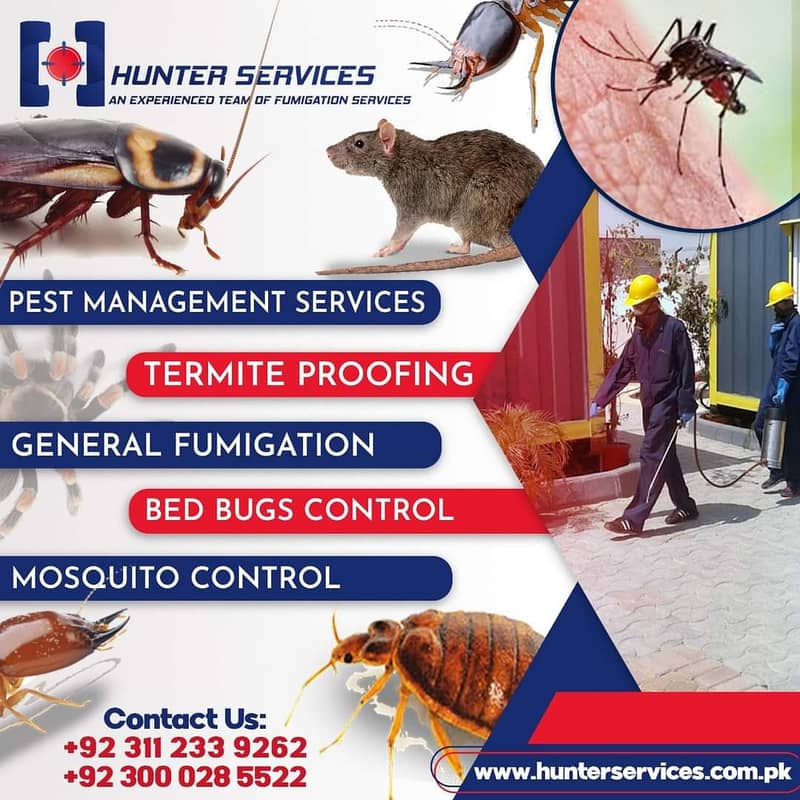 Pest Control/ Termite Control/Fumigation Spray/Deemak Control Services 1