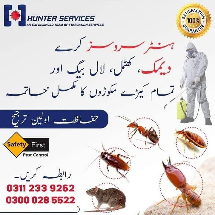 Pest Control/ Termite Control/Fumigation Spray/Deemak Control Services 6