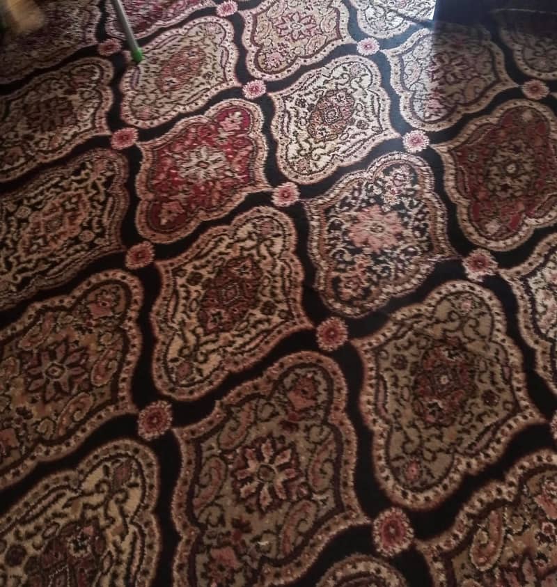 Irani Kalin(Rug) 11x14 1