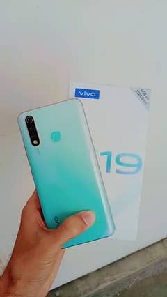 vivo