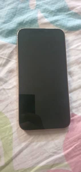 iPhone 12 Pro Physical Dual 1