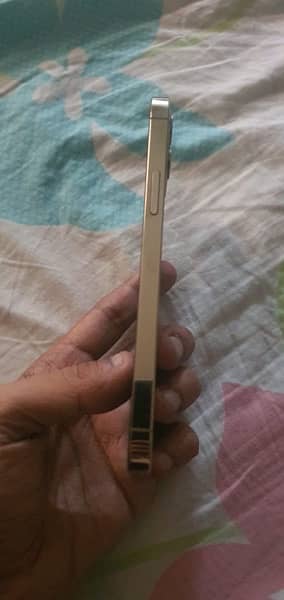 iPhone 12 Pro Physical Dual 2