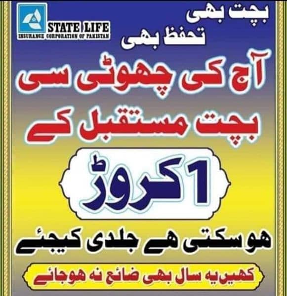 State life insurance/saving plans and job opportunities GOVT. Sector 2