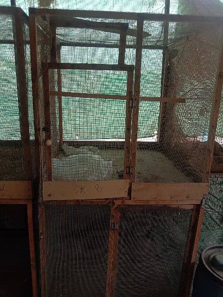 Wooden Cage available For sale 3