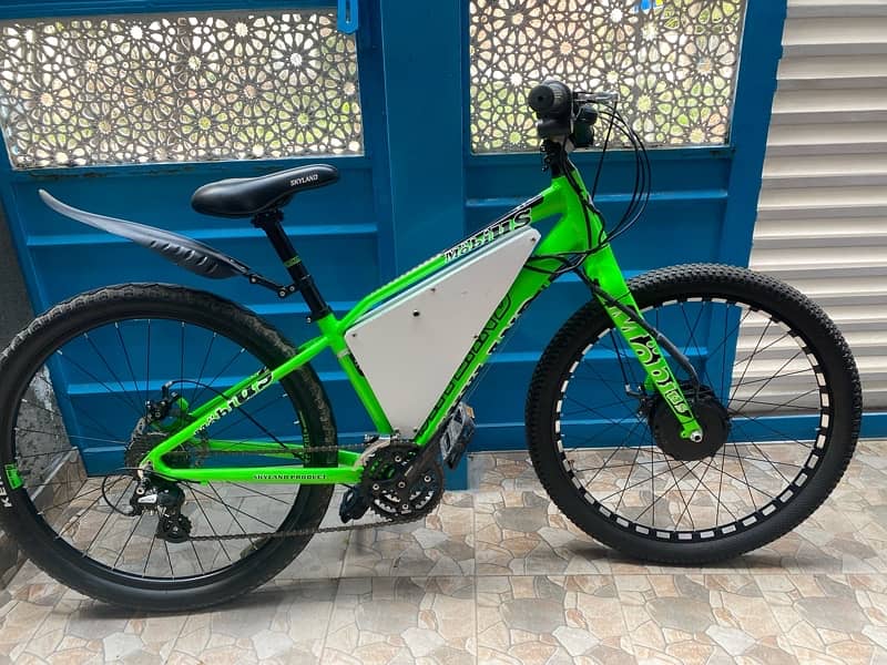 Electric Bicycle 2