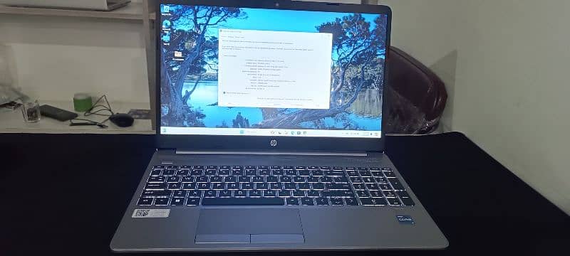 Hp 250 G9 12Th gen 10