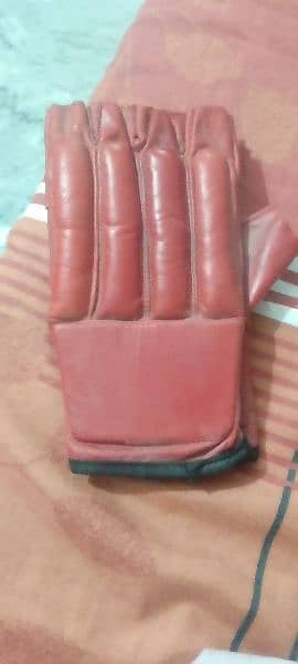 sports gloves 2