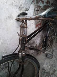 Baba cycle