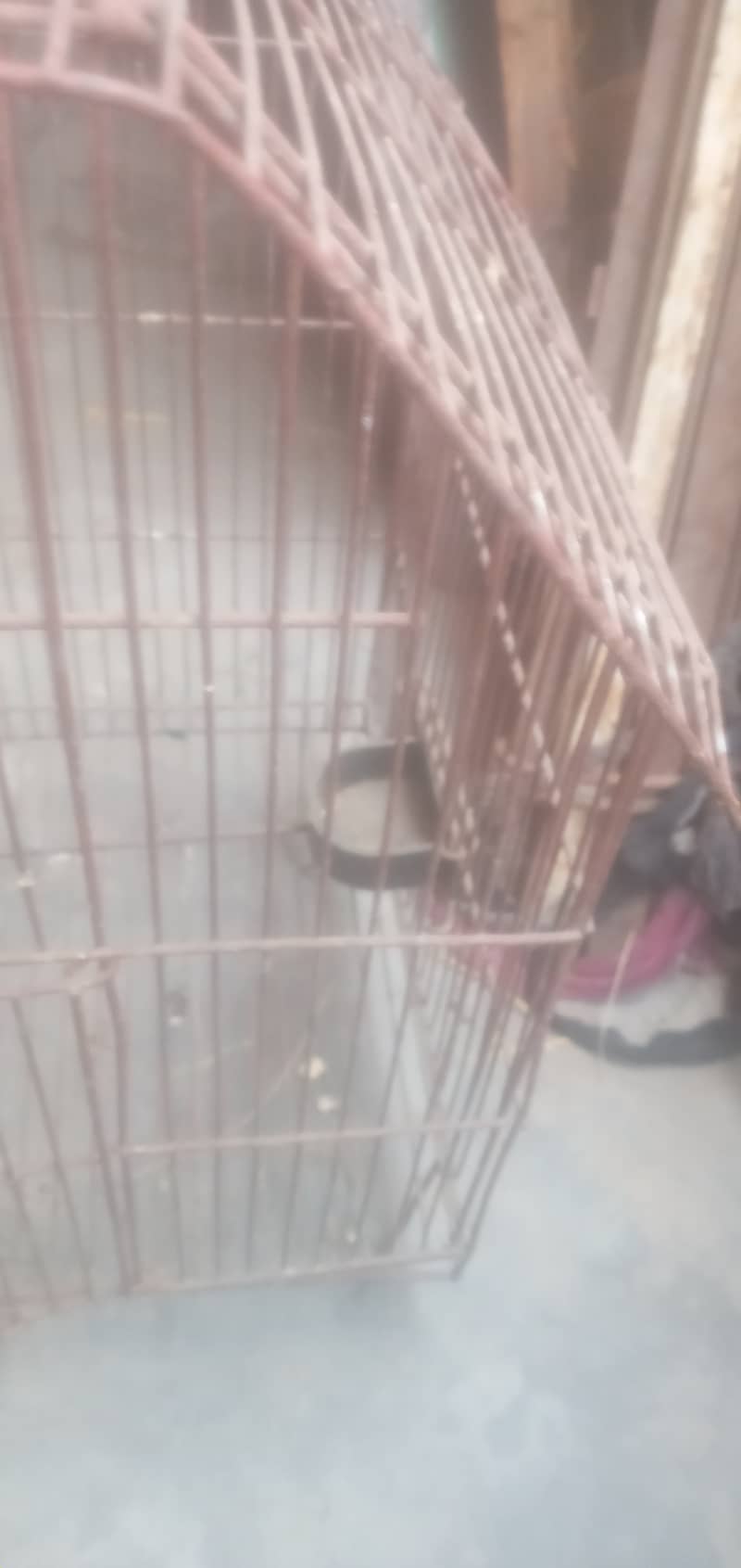 Iran Cage Strorng Net For Birds 6