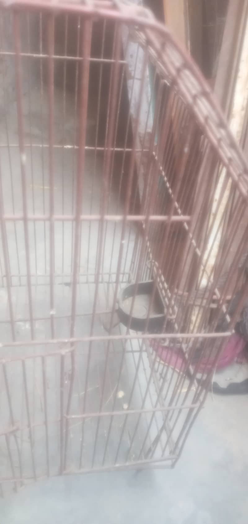 Iran Cage Strorng Net For Birds 10