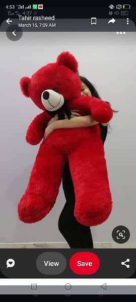 gift toy & stuff toy teady bear available 2