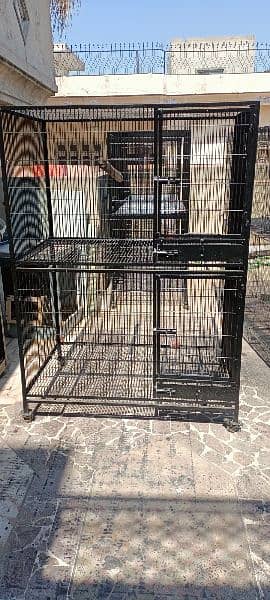 cage for sale 0