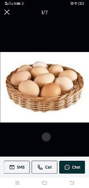 fertile eggs  bantum.  golden misri. . . 4