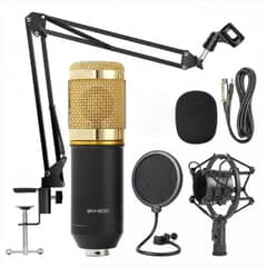 BM 800 microphone