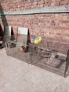 Large Bird Cage best for Australian Parrots