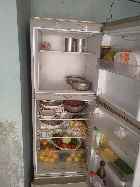 PEL refrigerator 2 door 2