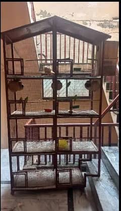cage for sale with parrots