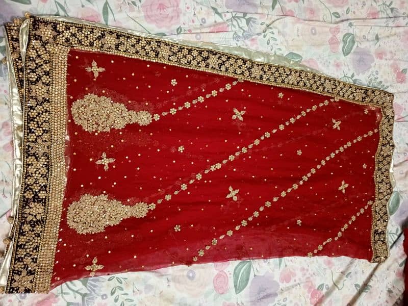 Bridal Red lehnga for sale, Fitting margin available 6