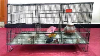 3 portion Parrot cage made by zarar cage