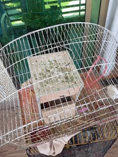 cage perfect for small birds