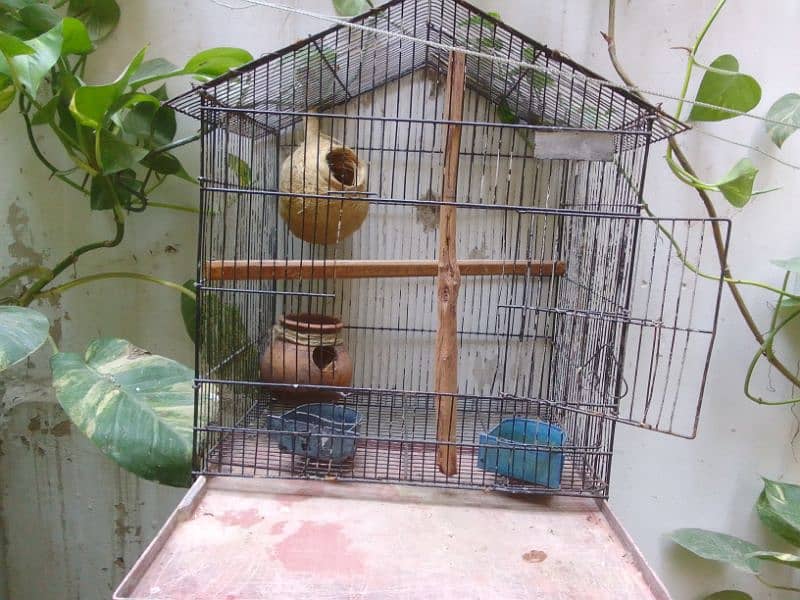 foldable Cage for birds 0