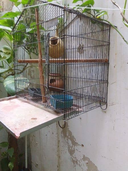 foldable Cage for birds 1