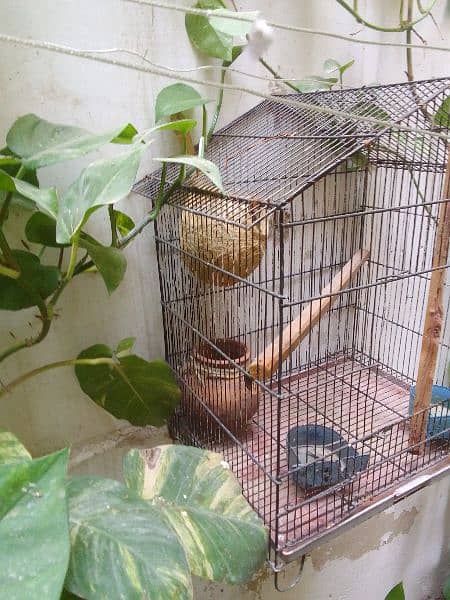 foldable Cage for birds 2