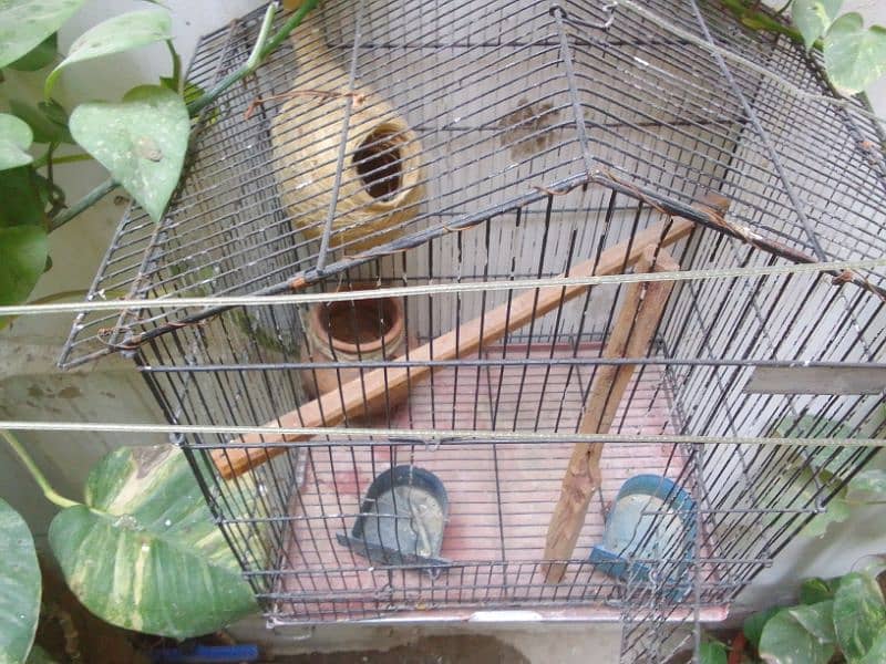 foldable Cage for birds 3