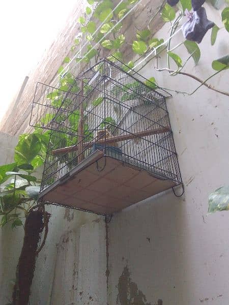 foldable Cage for birds 4