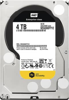 WD Enterprise Edition 4TB Hard Disk (Drive)