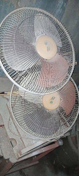 Original Copper Fans _Pak fan & Royal Fan_(08 left only) 4