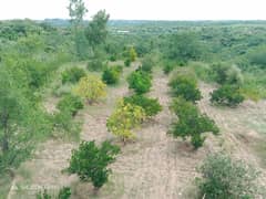 Stunning And Affordable Residential Plot Available For Sale In Pir Sohawa