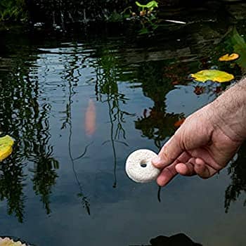 Mosquito Dunks - Larva Killer -Effective for 30 Days - Made in USA 6